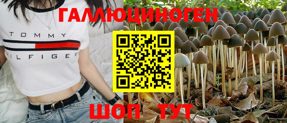 Псилоцибиновые грибы Psilocybine cubensis Коммунар