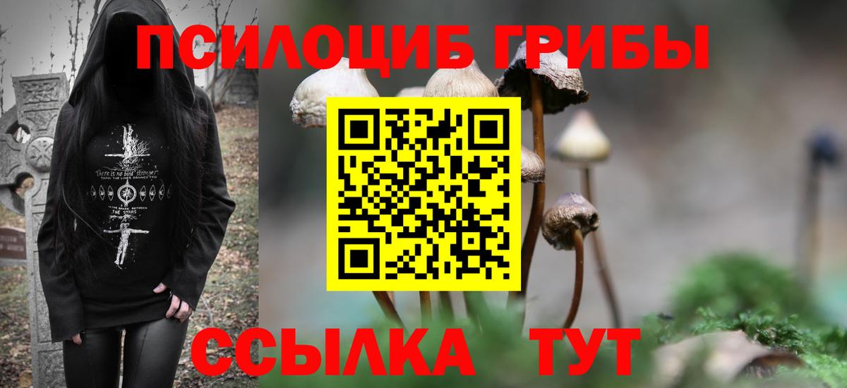 Коммунар  Галлюциногенные грибы Psilocybine cubensis  Вход с VPN 